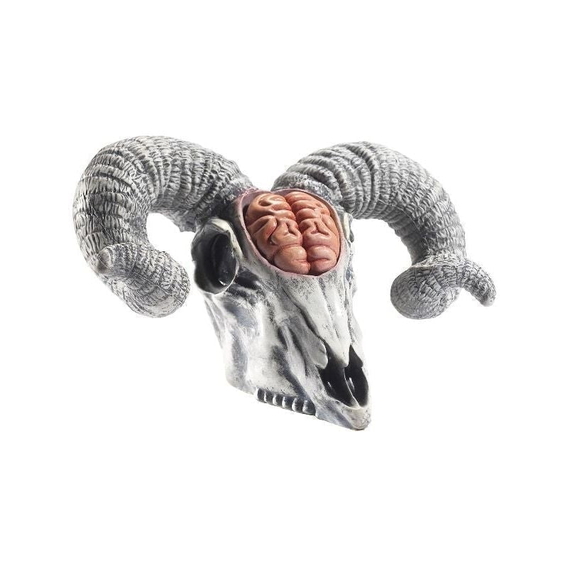 Size Chart Latex Rams Skull Prop With Exposed Brain Adult Natural
