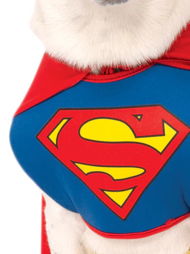 Superman Dog Costume