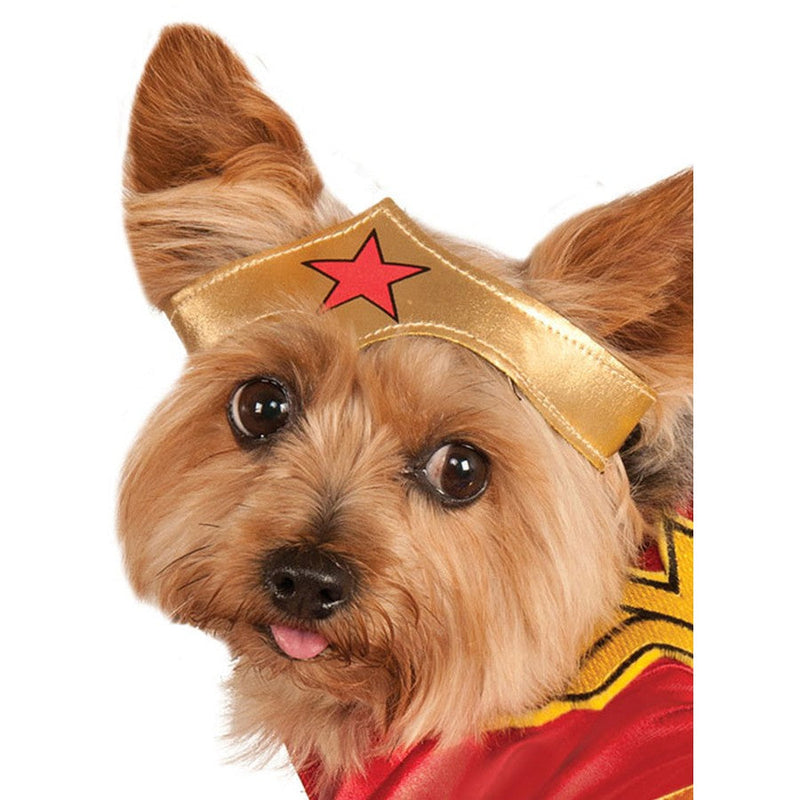 Wonder Woman Pet Costume_2