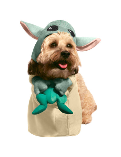 The Child Pet Costume With Frog_1 rub-202306LXLL