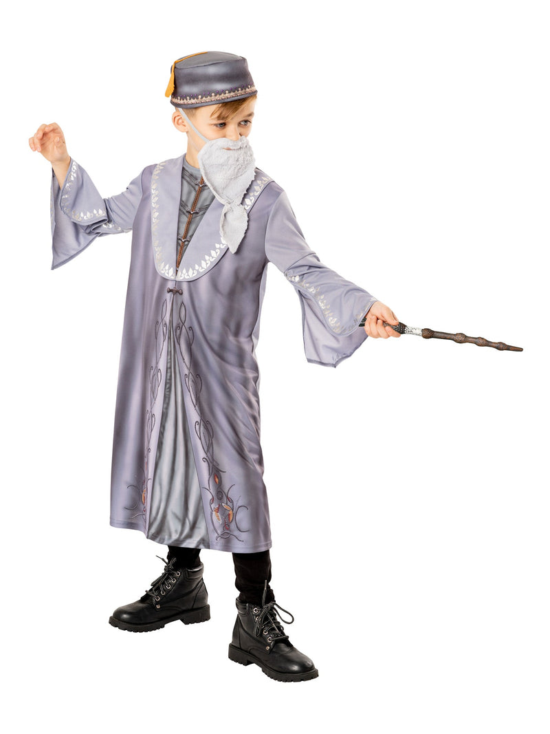 Dumbledore Kids Grey Wizard Costume 2 MAD Fancy Dress