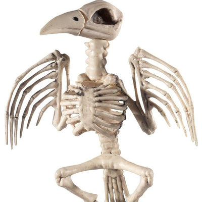 Raven Skeleton Prop Adult Natural_1 sm-46910