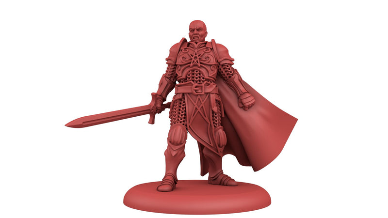 CMON A Song of Ice and Fire Tabletop Miniatures Game The Warrior&