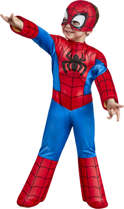Spider-man Deluxe MAD Fancy Dress