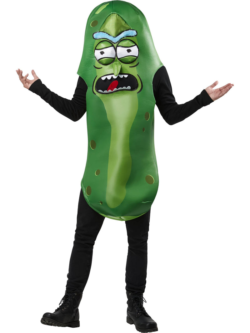 Pickle Rick Adult Costume Rick and Morty