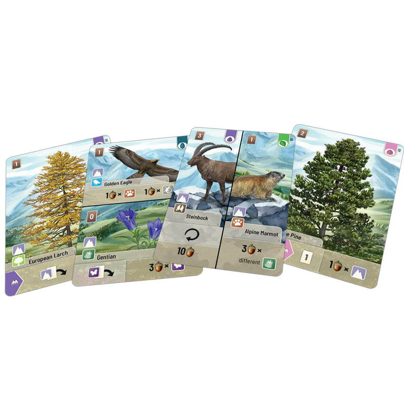 Lookout Games Forest Shuffle Alpine Card Game Expansion - 36 New Cards for Enhanced Gameplay! Adds New Species & Trees, Strategy Game for Kids & Adults, Ages 10+, 2-5 Players, 60 Min Playtime, Made