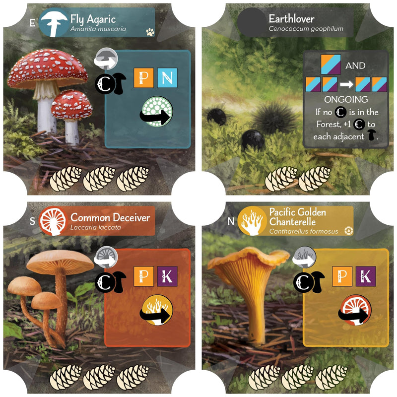 AEG Undergrove | Tile Placement and Pick-up and Deliver Board Game | Trade Nutrients with Fungi to Grow New Trees | 1-4 Players | Ages 10+