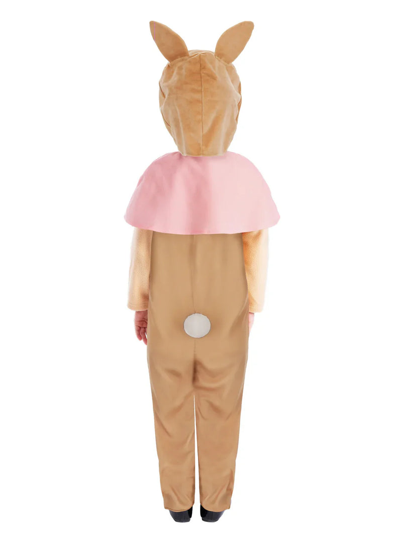 Peter Rabbit Flopsy Classic Costume Outfit for Kids – Mad Distribution ...