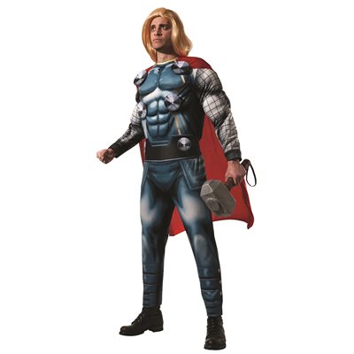 Thor Mens Grey Avengers Costume_1 rub-826STD