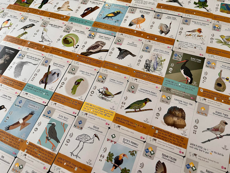 Stonemaier Games: Wingspan Fan Art Pack | Submitted Illustrations of Fan Favorite Birds in Wingspan | Needs Wingspan Base Game to Play