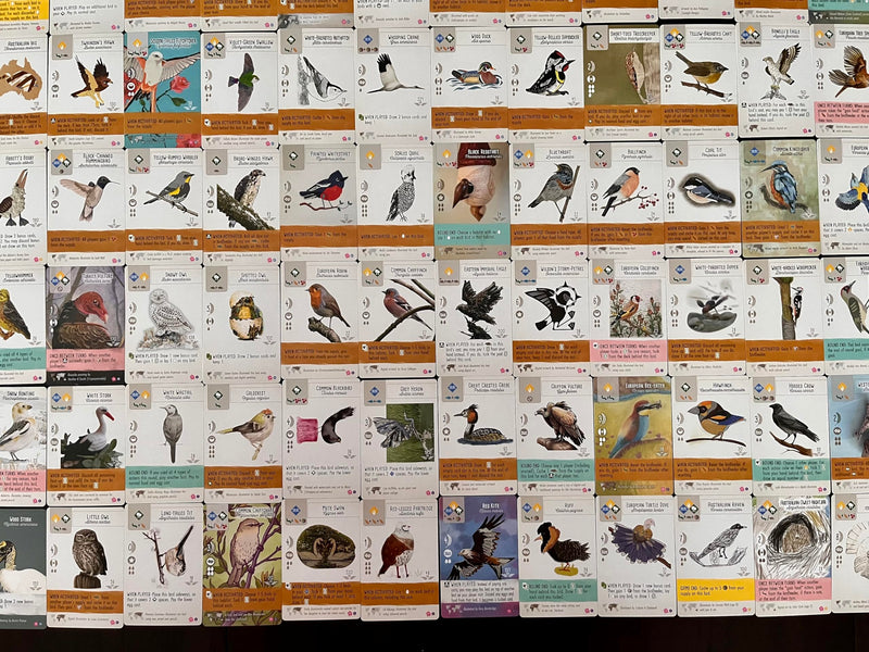 Stonemaier Games: Wingspan Fan Art Pack | Submitted Illustrations of Fan Favorite Birds in Wingspan | Needs Wingspan Base Game to Play