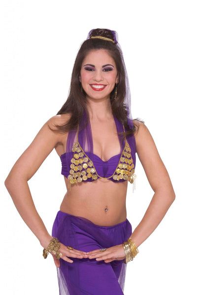 Arabian Princess Coin Bra Costume Accessory_1