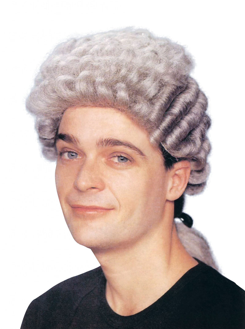 Mens Barrister Wig Grey Wigs Male Halloween Costume_1 BW172
