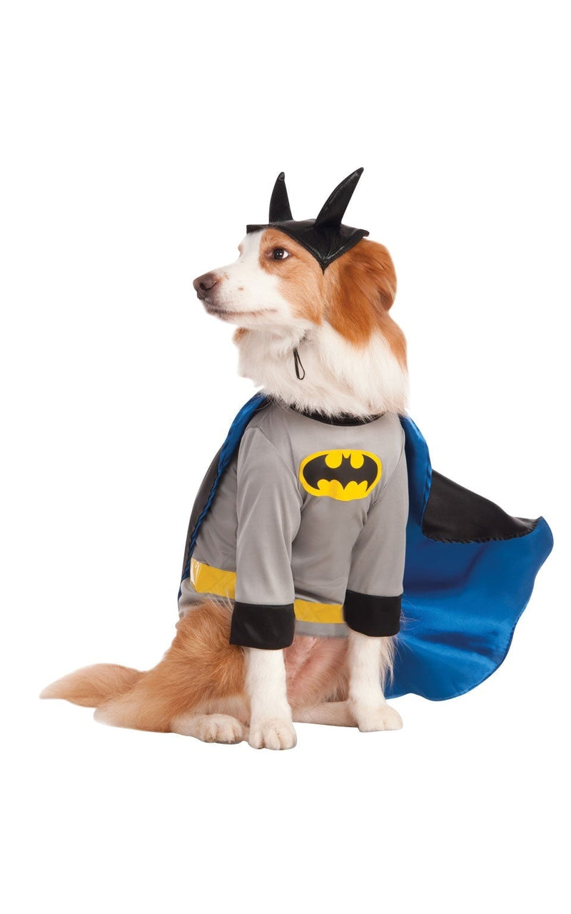 Batman Pet Costume Bold Grey and Blue_1