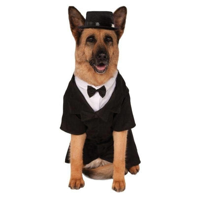 Big Dog Dapper Costume_1