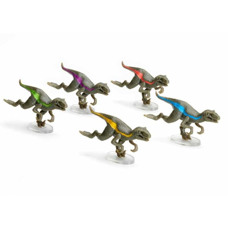 Raptor Race (English Only)