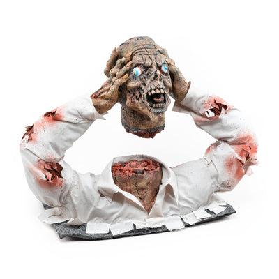 Cut Off Zombie Head Display Halloween Fancy Dress Unisex_1 HI138