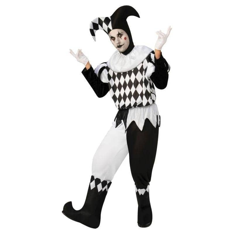 Harlequin Male Costume Medieval Jester_1