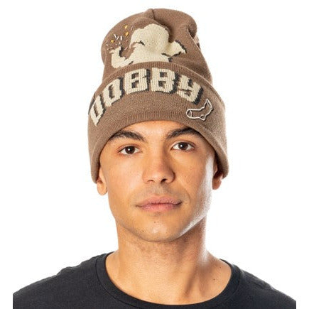 Harry Potter Dobby Beanie Adult_1