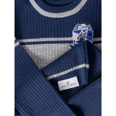 Harry Potter Ravenclaw Adult Varsity Jumper_1