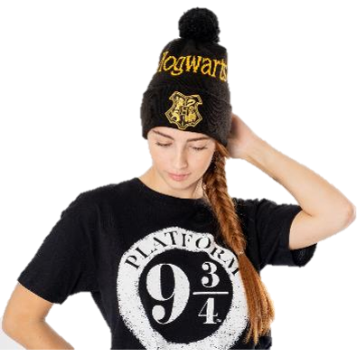 Hogwarts Black Gold Harry Potter Beanie Adult_1