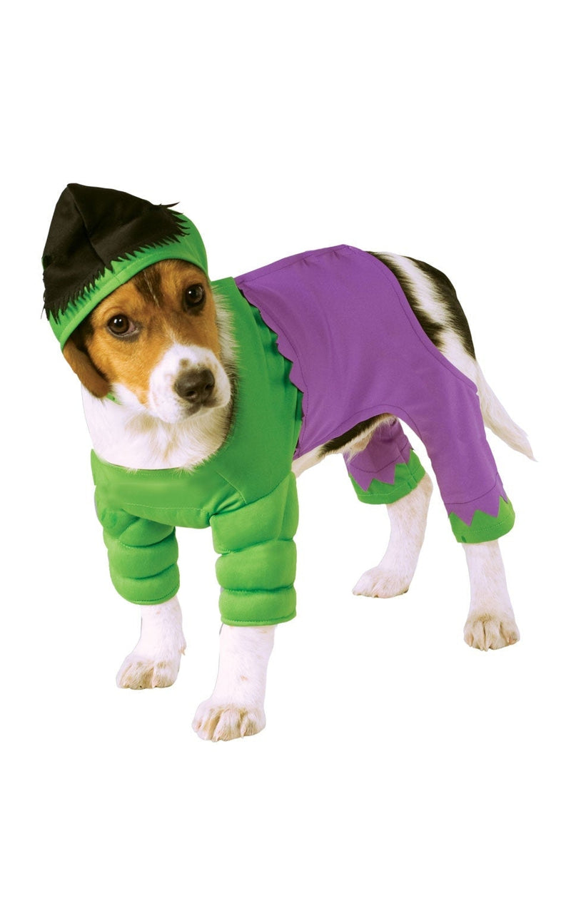 Incredible Hulk Pet Costume_1