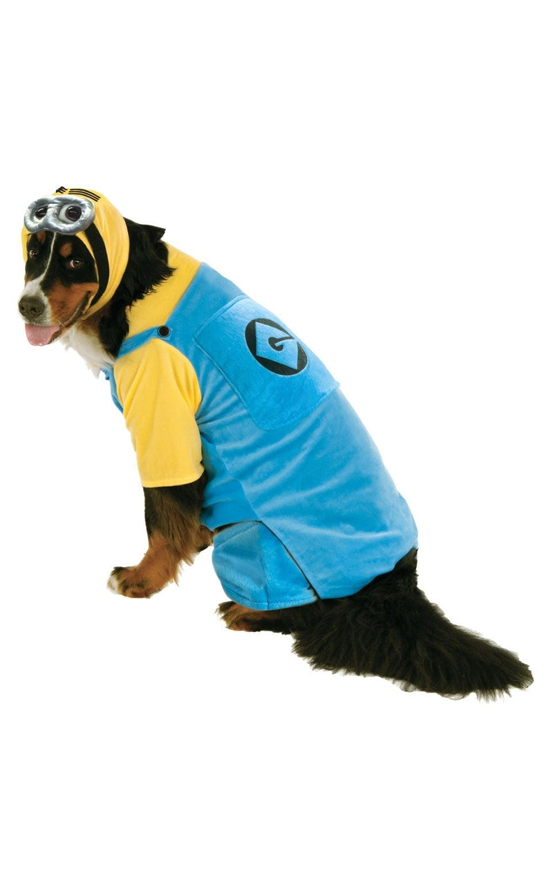 Large Dog Minion Despicable Me Pet Costume_1