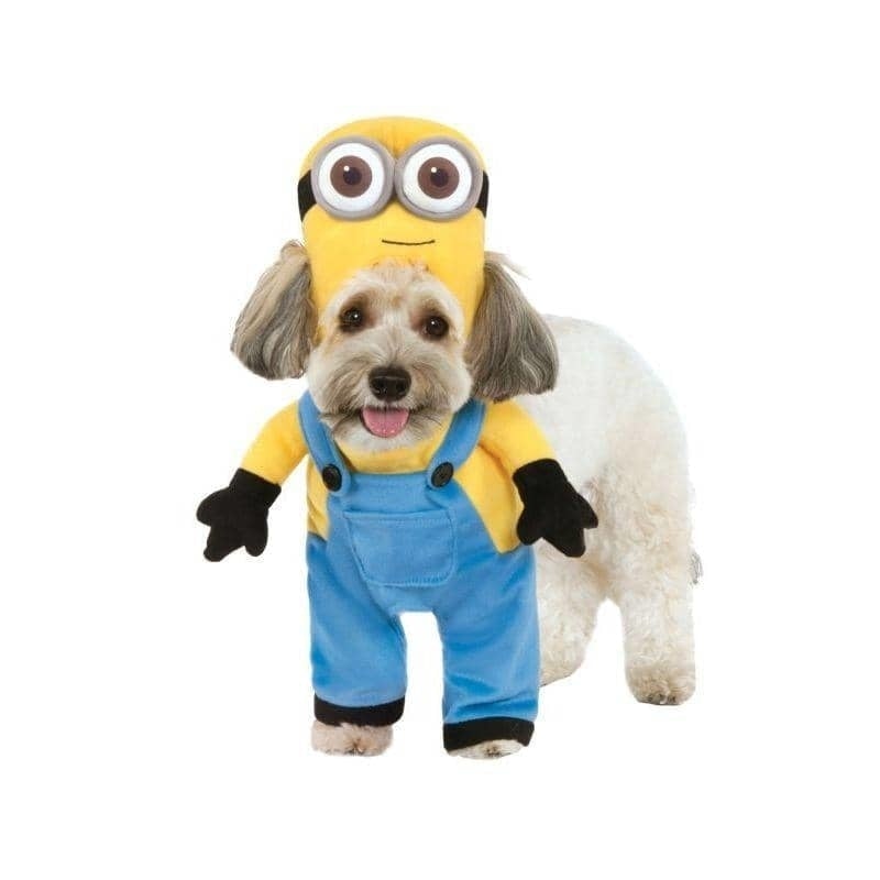 Minion Bob Arms Pet Suit_1