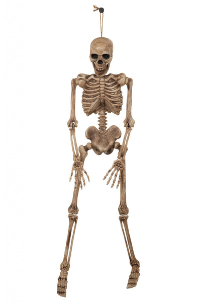 Skeleton 42" Halloween Items Unisex_1