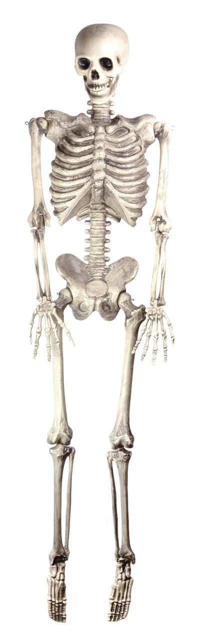 Skeleton 60" Hanging Halloween Items Unisex_1