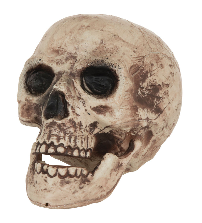 Skull Large Halloween Decoration Prop_1