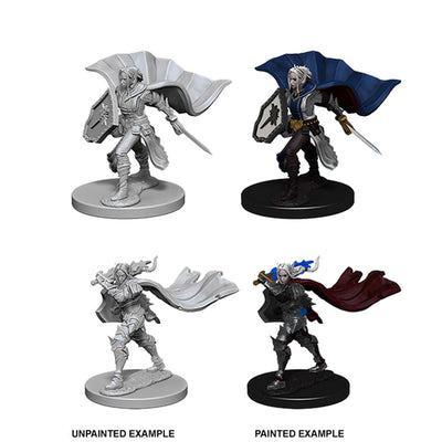 Pathfinder Deep Cuts Unpainted Miniatures: Elf Female Paladin