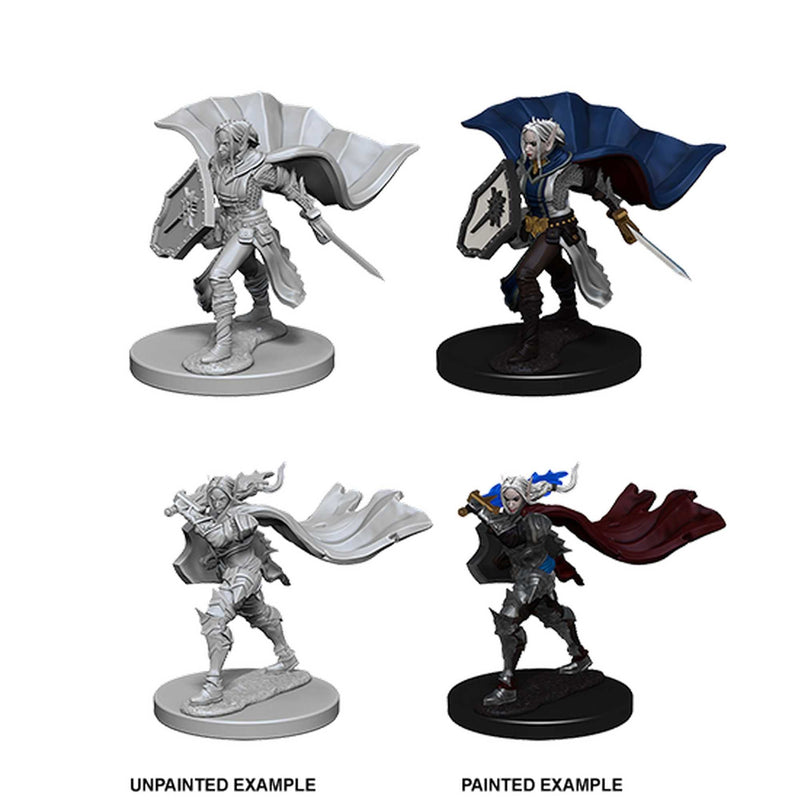 Pathfinder Deep Cuts Unpainted Miniatures: Elf Female Paladin