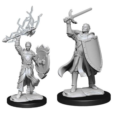 D&D Nolzur's Marvelous Miniatures: Half-Elf Paladin Male