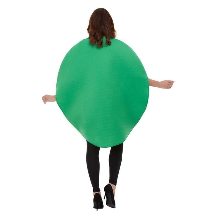 Watermelon Costume Adult Red Green Sliced Tabard Watermelon Costume Adult Red Green Sliced Tabard