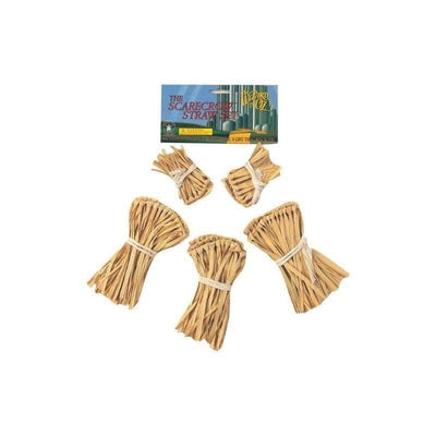 Wizard Of Oz Costume Scarecrow Straw Kit_1