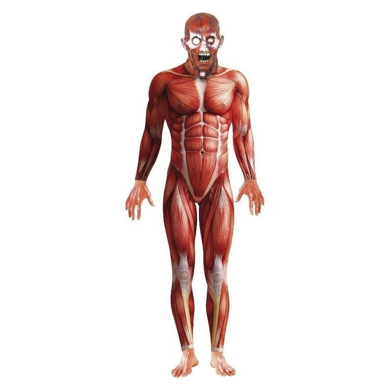 Anatomy Man Costume Adult_3 