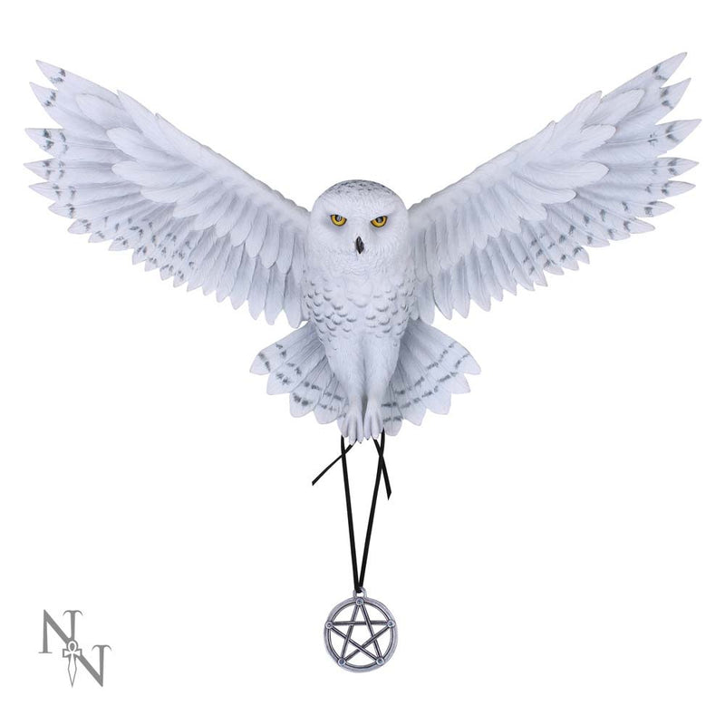 Awaken your Magic Owl Pentagram Wall Plaque 45cm