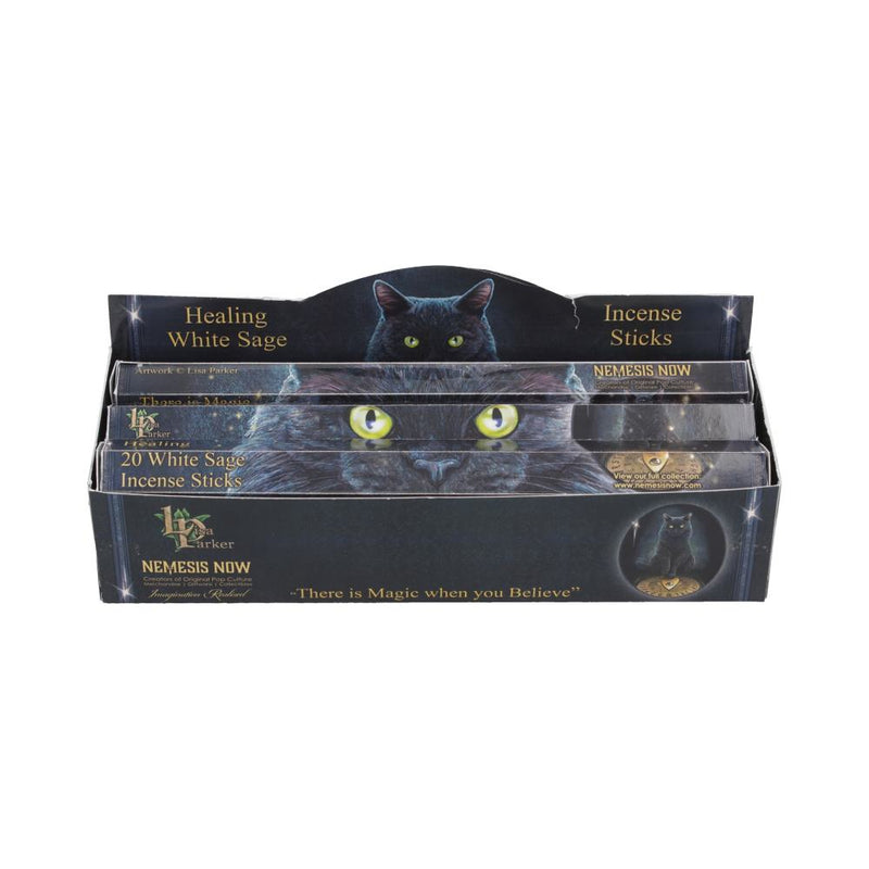 White Sage Scented Healing Incense Sticks
