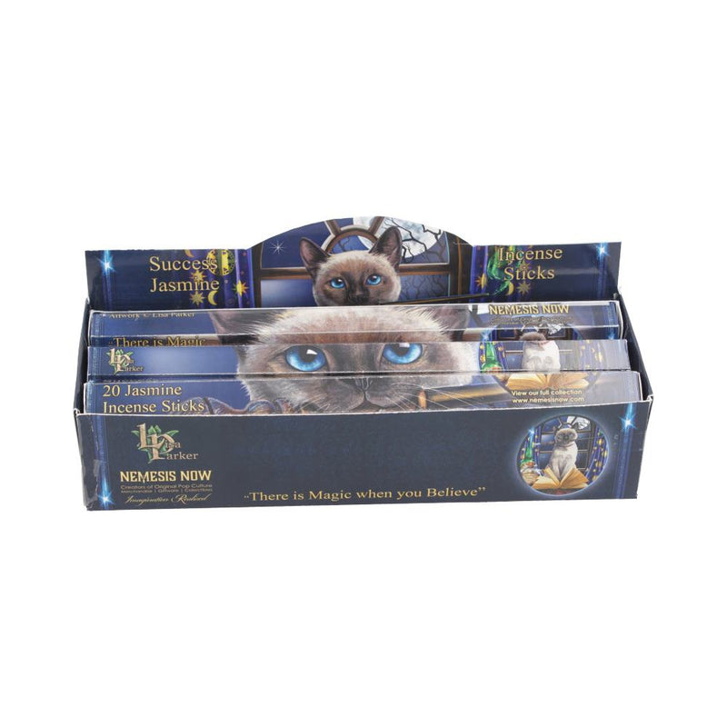 Lisa Parker Jasmine Scented Success Incense Sticks LP