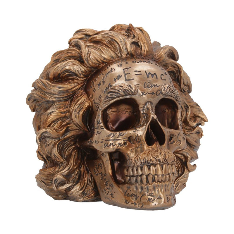 The Theory of Relativity Bronze Einstein Skull 21cm