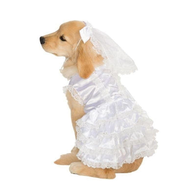 Big Dog Bride Costume_1 rub-887820S