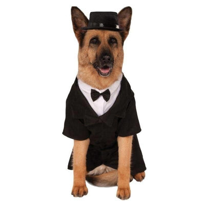 Big Dog Dapper Costume_1 rub-580278XXXL