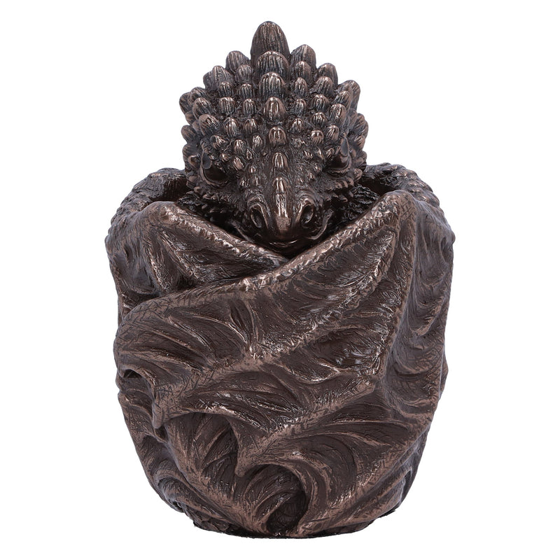 Bronze Dragon Snuggle Box