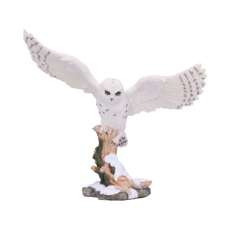 Snowfall Majestic Owl In Winter Scene 18cm