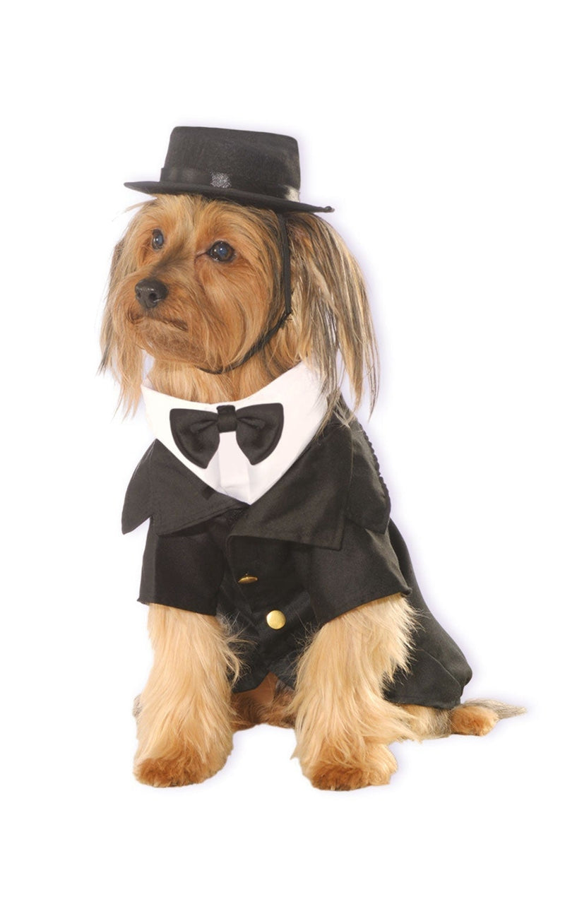 Dapper Pet Costume_1 rub-885933M