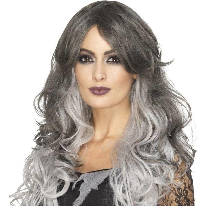 Deluxe Gothic Bride Wig Adult Grey_1 sm-45040