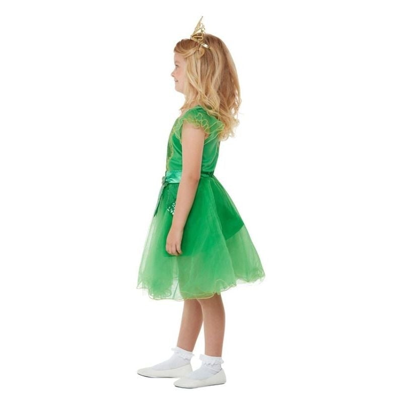 Deluxe St Patricks Day Glitter Fairy Costume_3 sm-55052S
