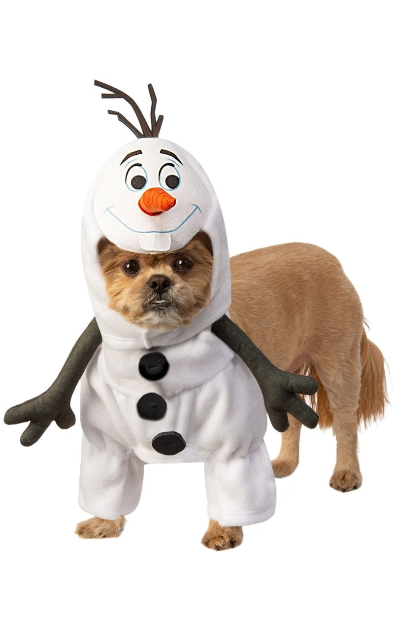Frozen 2 Olaf Pet Costume_1 rub-201022LXLL