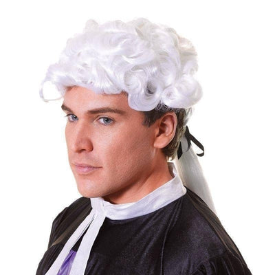 Mens Court Wig Unisex Budget Wigs Male Halloween Costume_1 BW353